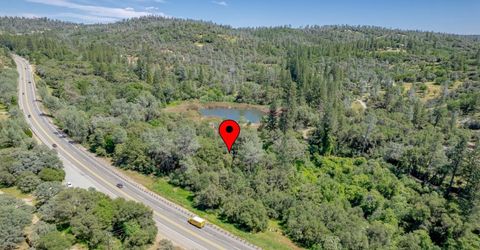 W Eric Rood Memorial Expressway, Penn Valley, CA 95946 Photo