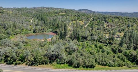 W Eric Rood Memorial Expressway, Penn Valley, CA 95946 Photo