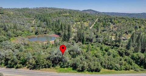 W Eric Rood Memorial Expressway, Penn Valley, CA 95946 Photo