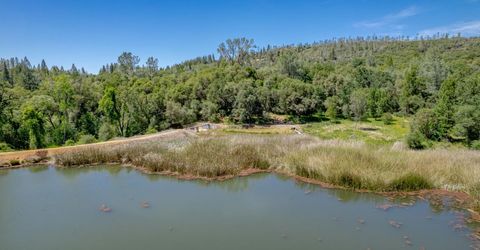 W Eric Rood Memorial Expressway, Penn Valley, CA 95946 Photo