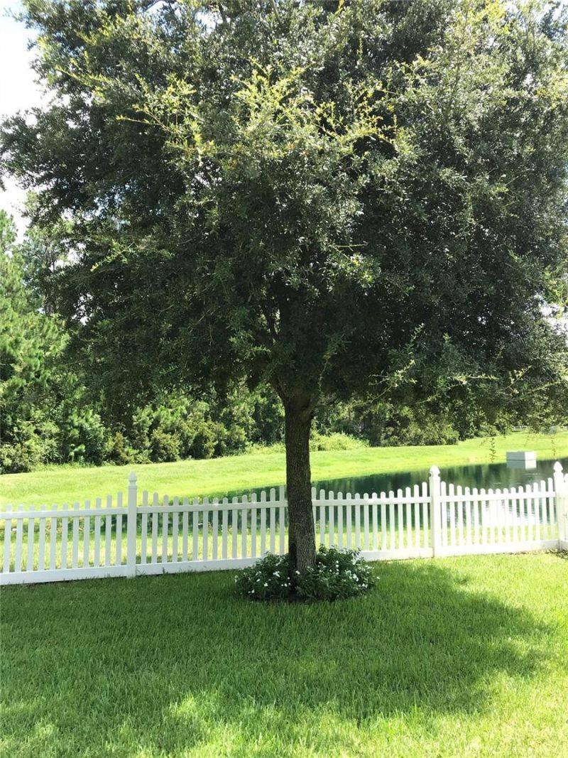 6110 Meriwether Crescent , Winter Garden, FL 34787 Photo