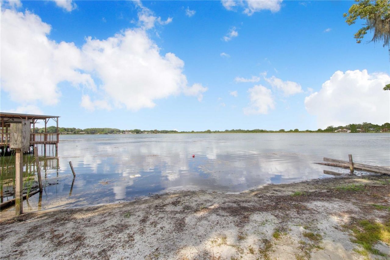 775 S Buena Vista Drive, Lake Alfred, FL 33850 Photo