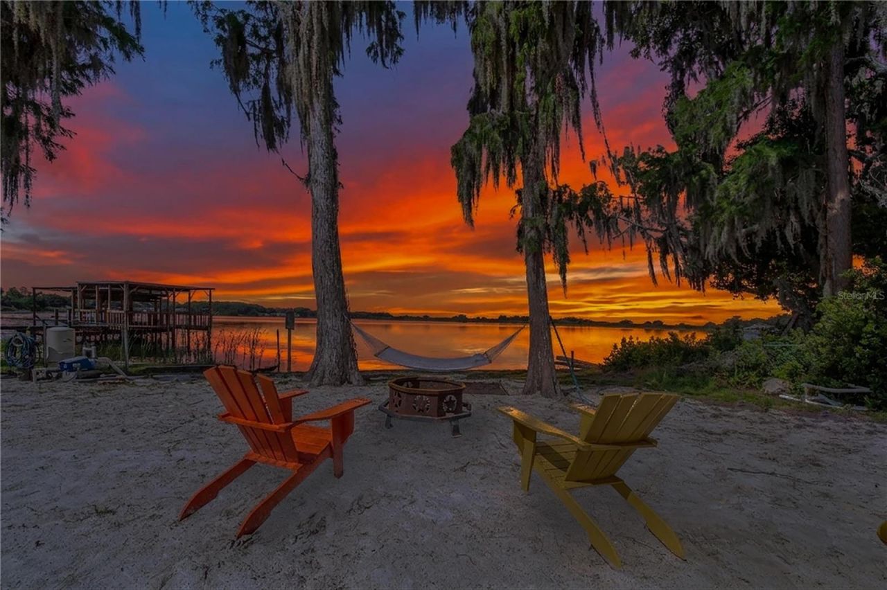 775 S Buena Vista Drive, Lake Alfred, FL 33850 Photo