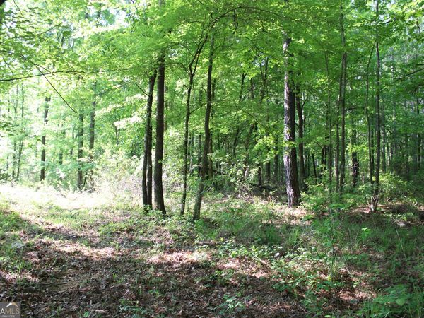 0 Ga Hwy 87 Tract 1, Forsyth, GA 31029