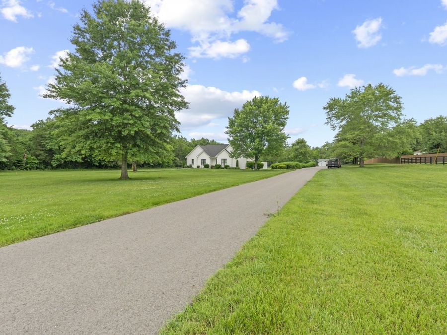 Property Image 79