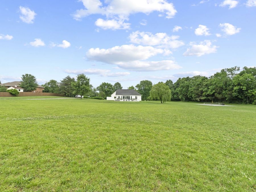 Property Image 82