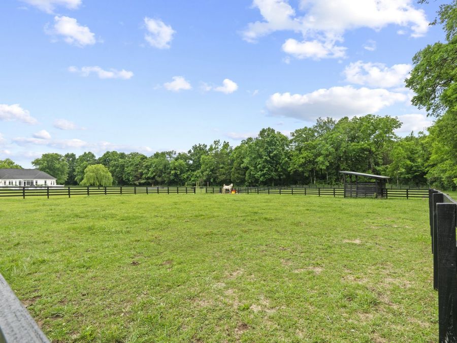 Property Image 83