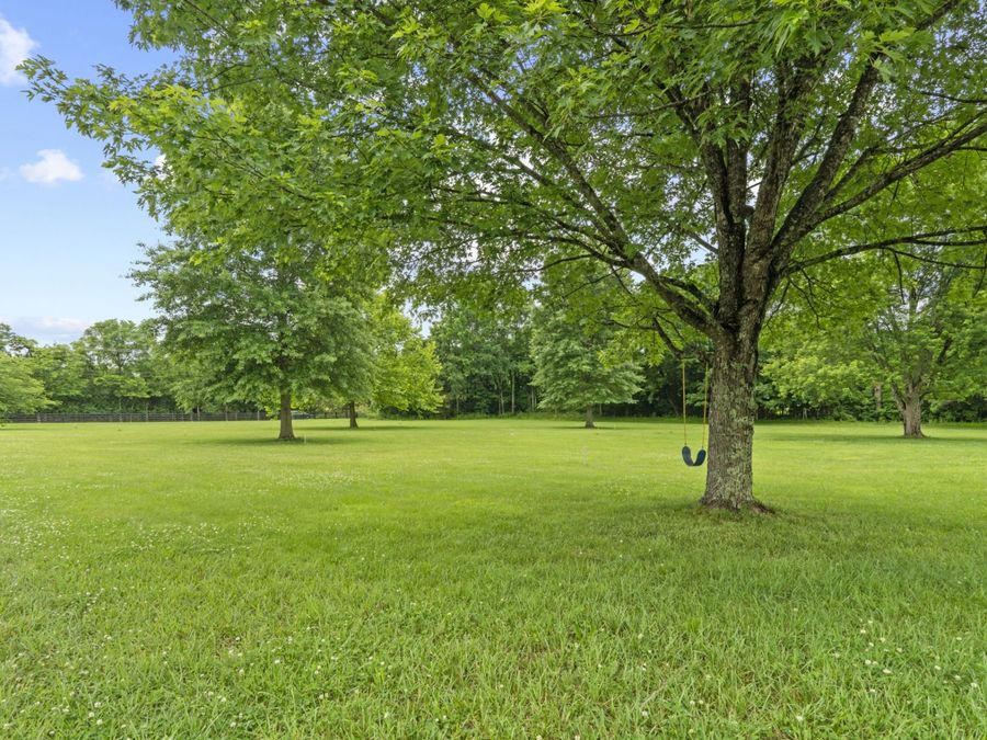 Property Image 88