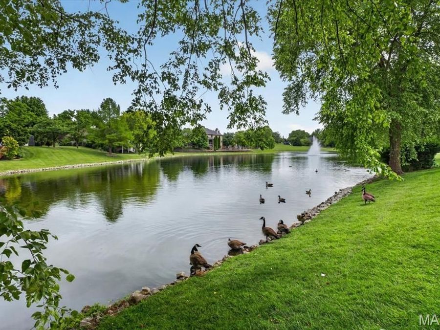 Property Image 64