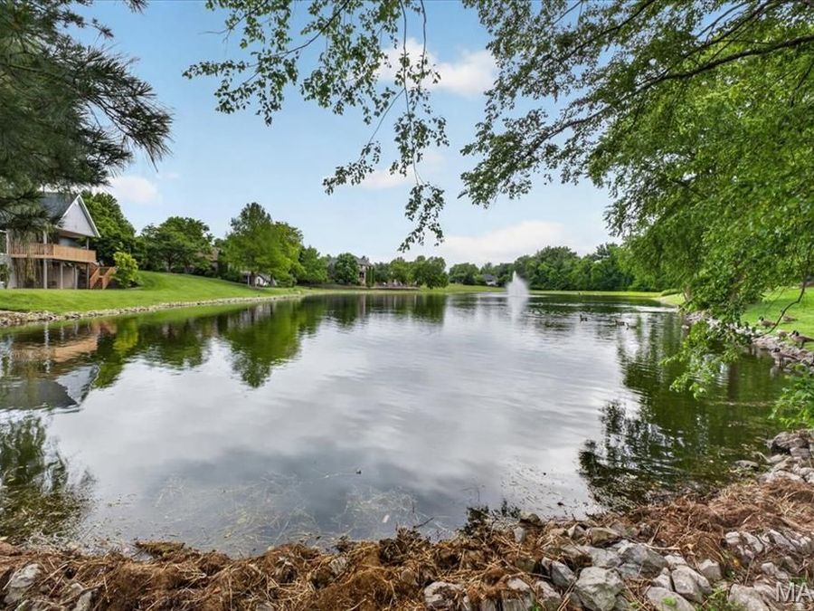 Property Image 65