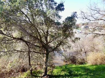 14055 River Rd, Walnut Grove, CA 95690 Photo