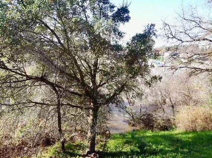 14055 River Rd, Walnut Grove, CA 95690 Photo