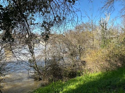 14055 River Rd, Walnut Grove, CA 95690 Photo