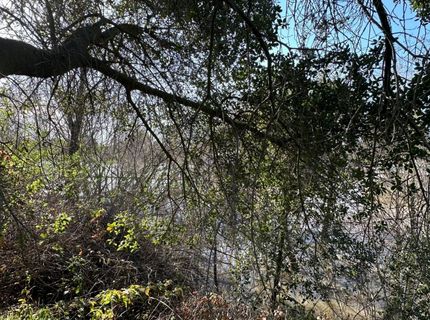 14055 River Rd, Walnut Grove, CA 95690 Photo