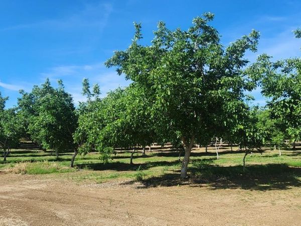 George Rd, Williams, CA 95987