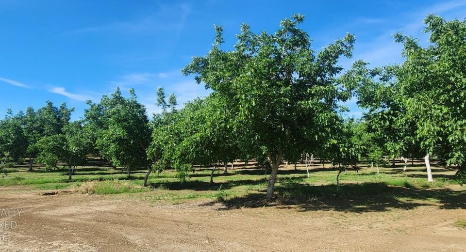 George Rd, Williams, CA 95987 Photo