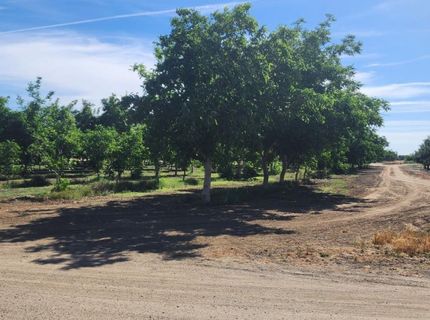George Rd, Williams, CA 95987 Photo