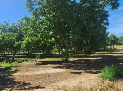 George Rd, Williams, CA 95987 Photo