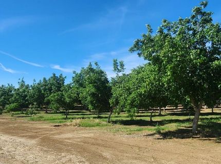George Rd, Williams, CA 95987 Photo