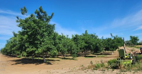 George Rd, Williams, CA 95987 Photo