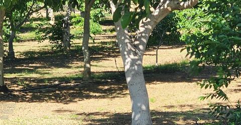 George Rd, Williams, CA 95987 Photo