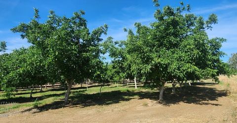 George Rd, Williams, CA 95987 Photo