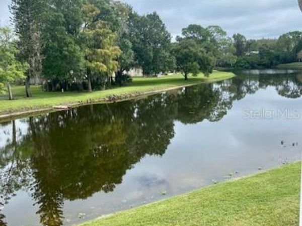 131 SABAL COURT , Unit H, OLDSMAR, FL 34677