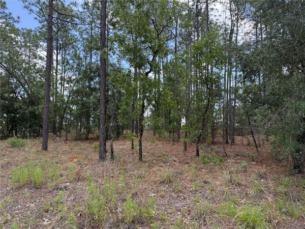 NW BUENA VISTA ROAD , DUNNELLON, FL 34431