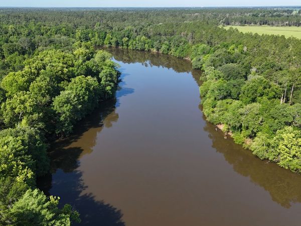 3349 E River Road, Bainbridge, GA 39817