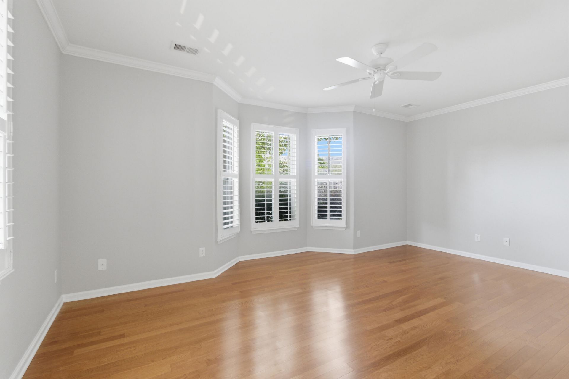 222 Cameron Street Photo 21
