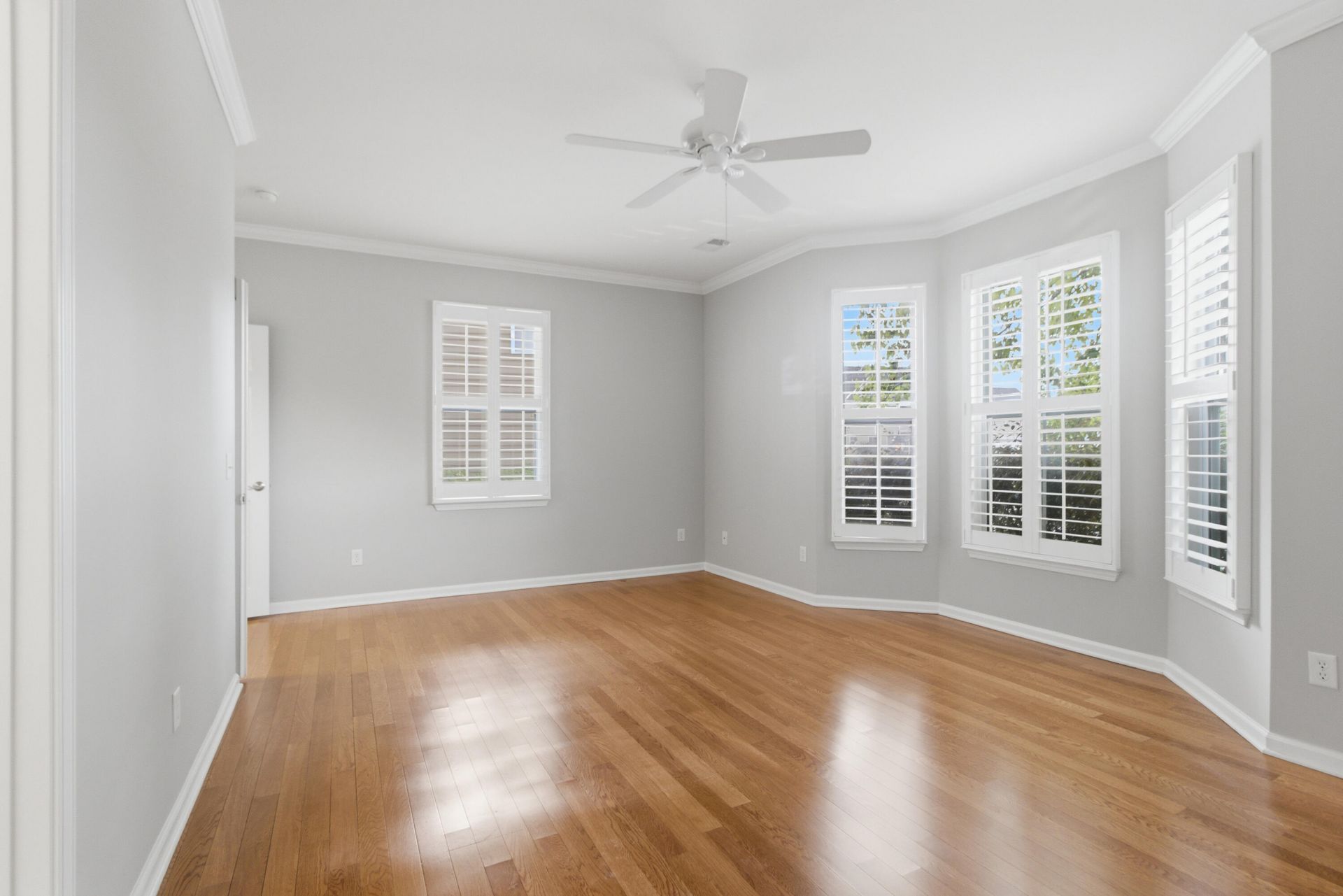 222 Cameron Street Photo 23
