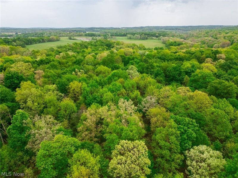 Emerick Road , Salineville, OH 43945 Photo 15