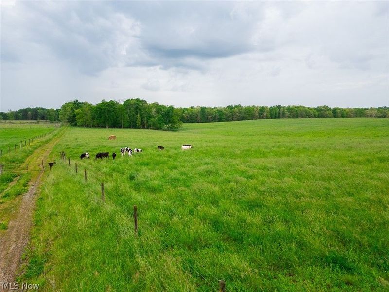 Emerick Road , Salineville, OH 43945 Photo 4