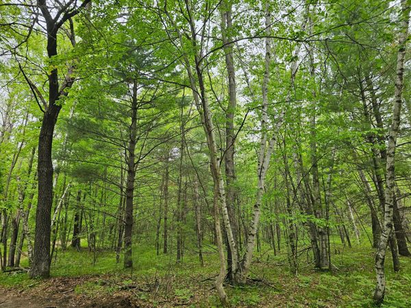 25227 Kruger Road , Webster, WI 54893