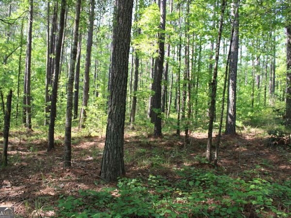 00 Hwy 87 Tract 2, Forsyth, GA 31029