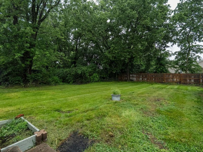346 Payne Street, Georgetown, KY 40324 Photo 15