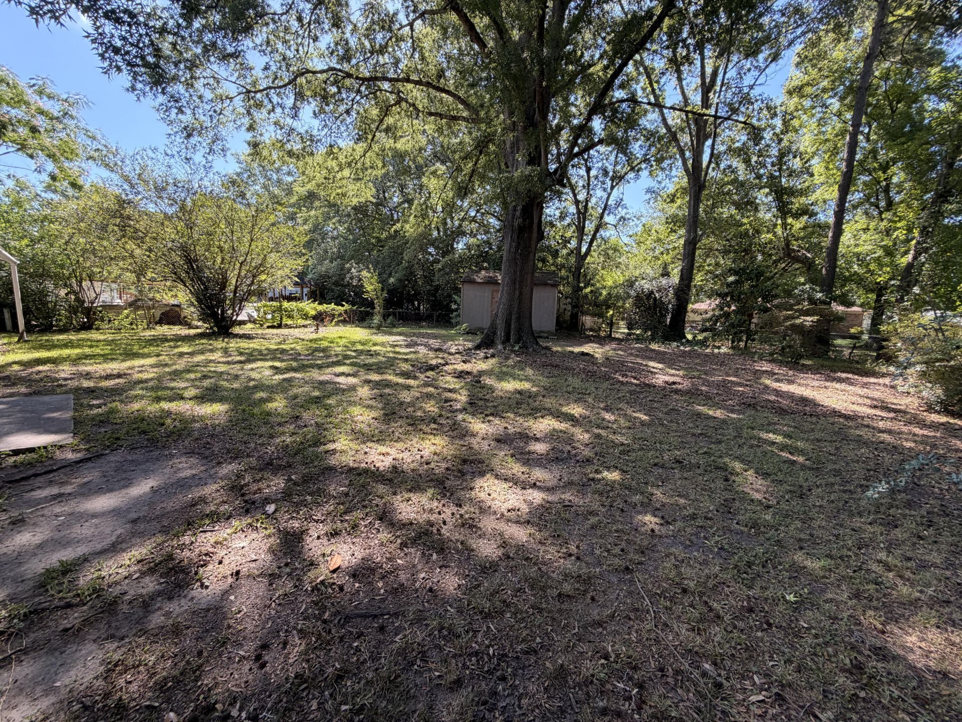 217 Birch Avenue Photo 4
