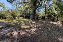 217 Birch Avenue photo 4