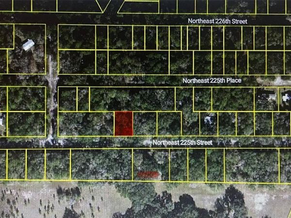 11545 NE NE 225TH ST , FORT MC COY, FL 32134