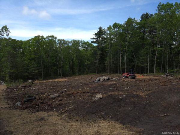 1027 Pine Kill , Wurtsboro, NY 12790