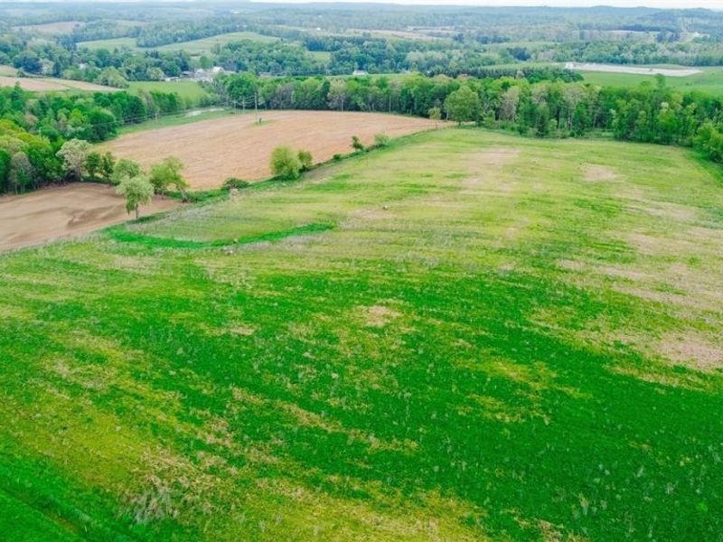 Emerick Road , Salineville, OH 43945 Photo 15