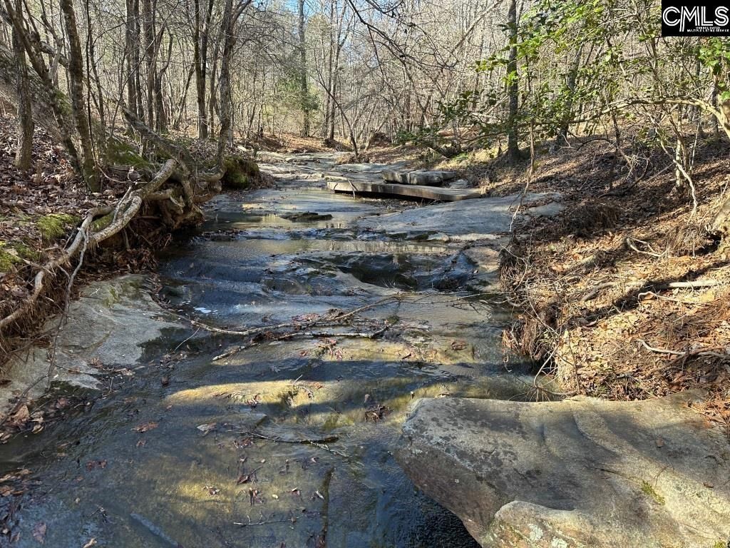 River Road  Photo 10