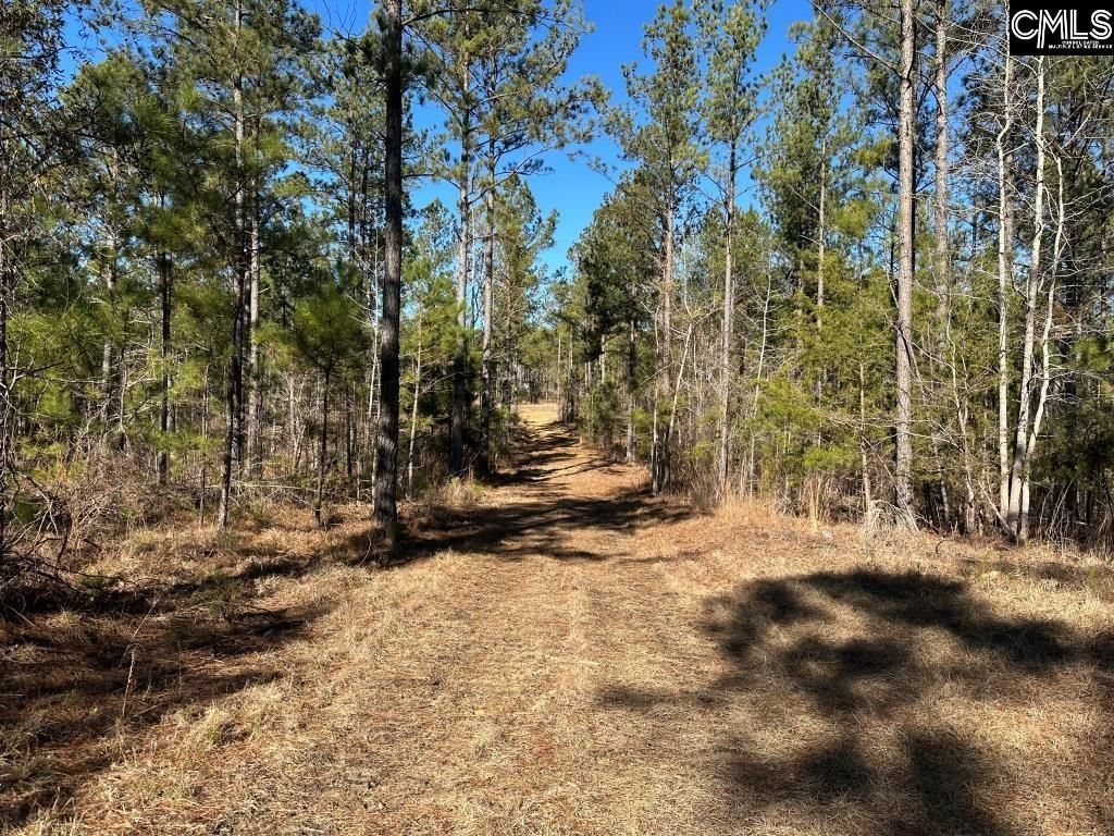 River Road  Photo 15