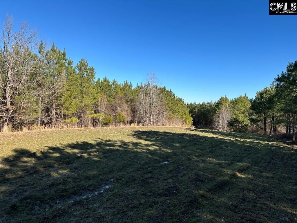 River Road  Photo 18