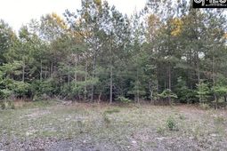 1155 Jones Wire Road  photo 4