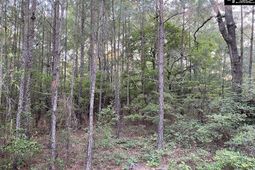 1155 Jones Wire Road  photo 4