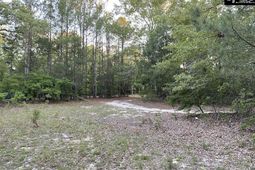 1155 Jones Wire Road  photo 4