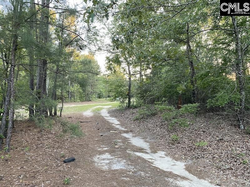 1155 Jones Wire Road  Photo 5