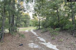 1155 Jones Wire Road  photo 4