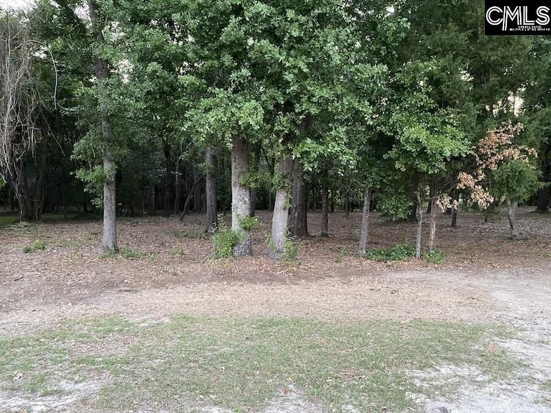 1155 Jones Wire Road  Photo 6